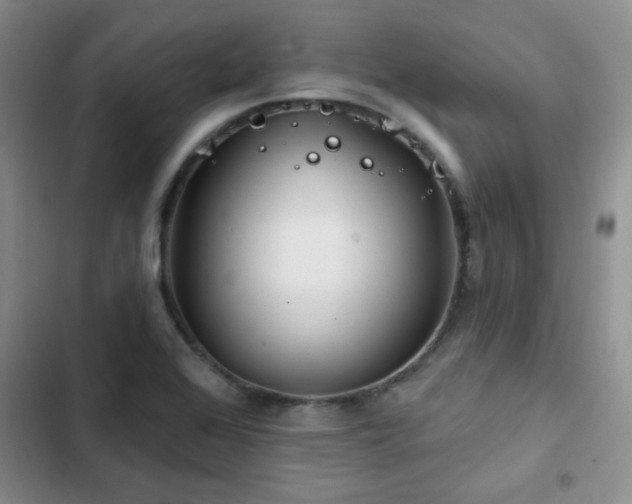 X0000102791368200808181249