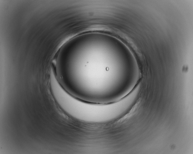 X0000102791369200808181249