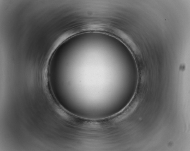 X0000102791370200808181249