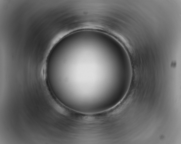 X0000102791371200808181249
