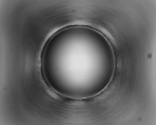 X0000102791372200808181249
