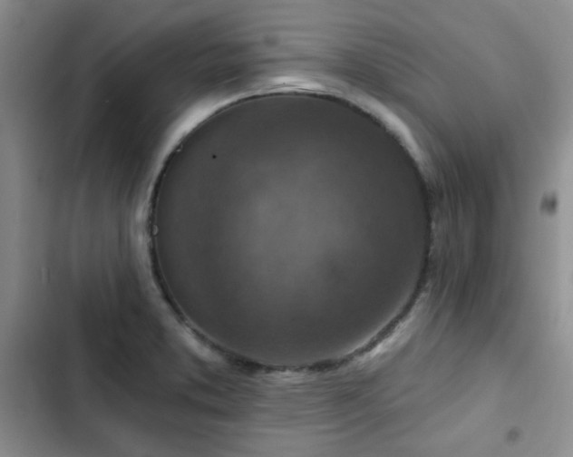 X0000102791373200808181249