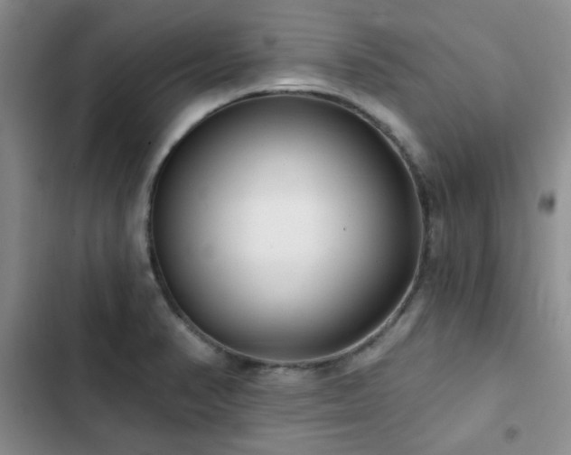 X0000102791374200808181249