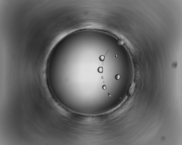 X0000102791375200808181249