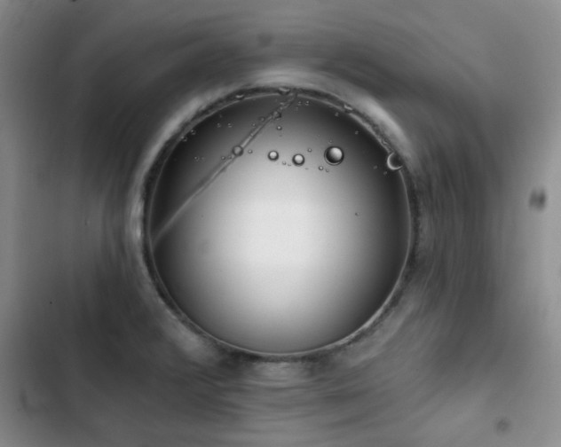 X0000102791376200808181249