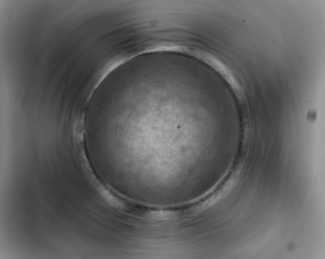 X0000102791377200808181249