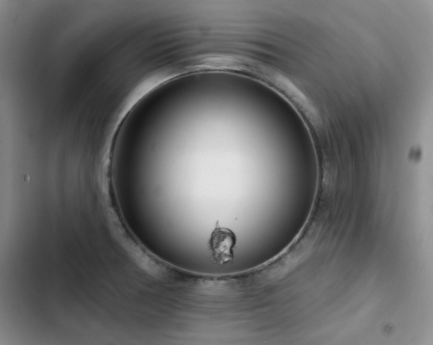 X0000102791378200808181249