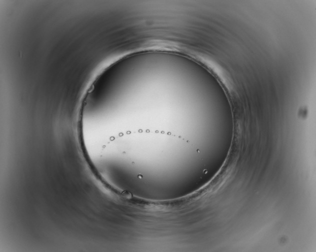 X0000102791379200808181249
