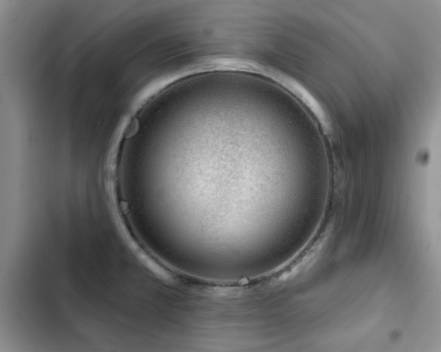 X0000102791381200808181249