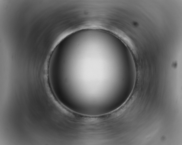 X0000102791382200808181249