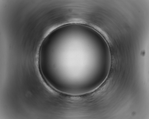X0000102791383200808181249
