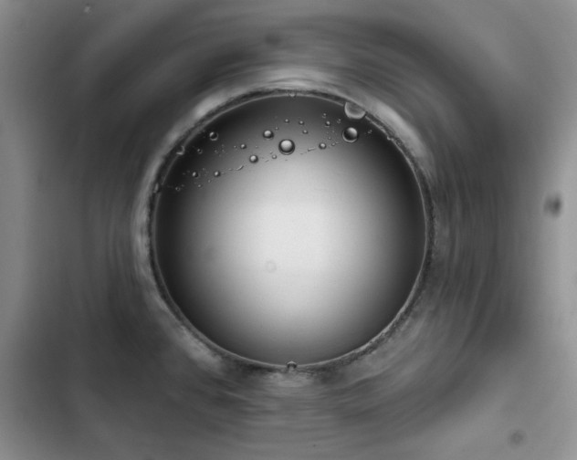 X0000102791384200808181249