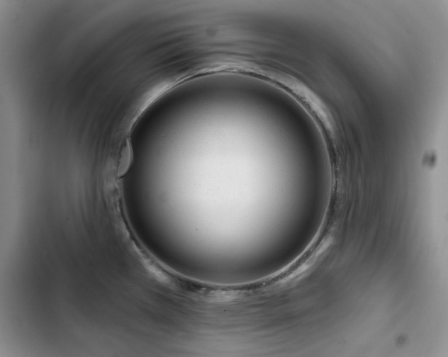 X0000102791385200808181249