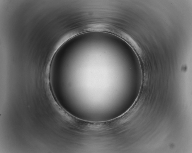 X0000102791386200808181249