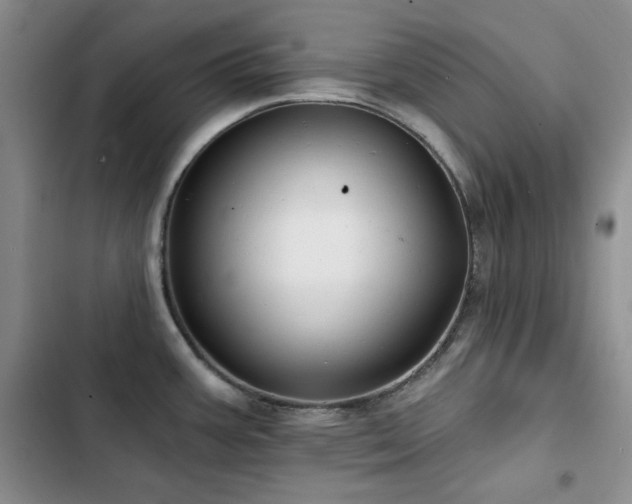 X0000102791387200808181249