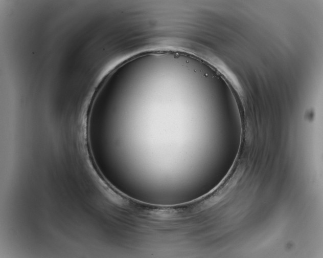 X0000102791388200808181249