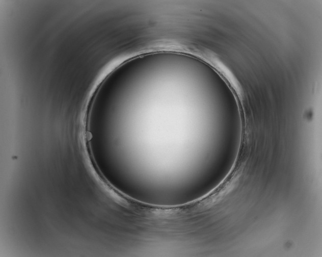 X0000102791389200808181249