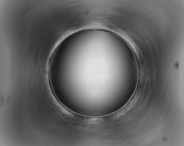 X0000102791390200808181249