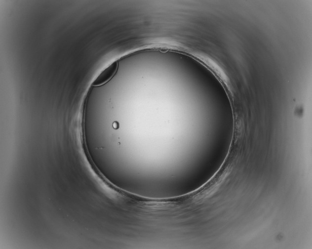 X0000102791391200808181249