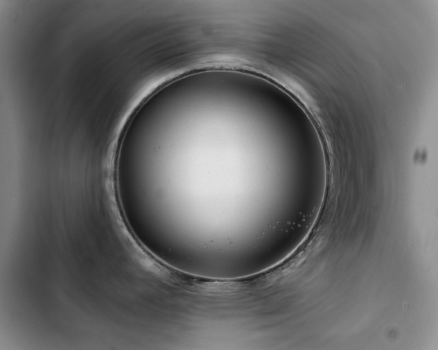 X0000102791392200808181249