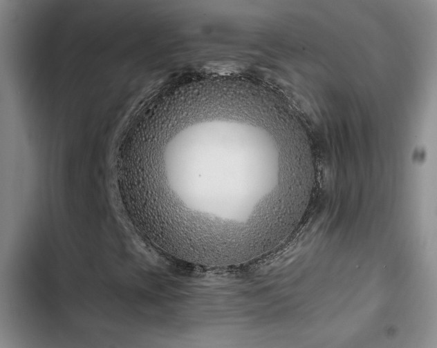 X0000102791393200808181248
