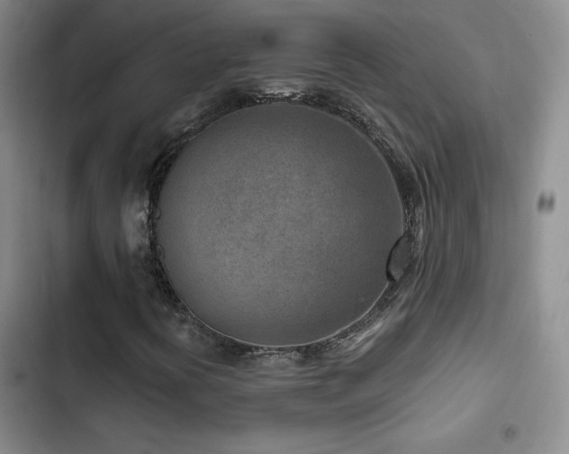 X0000102791394200808181248