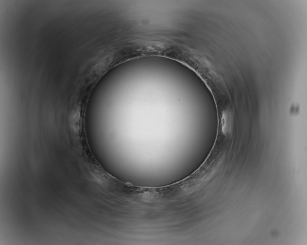X0000102791395200808181248