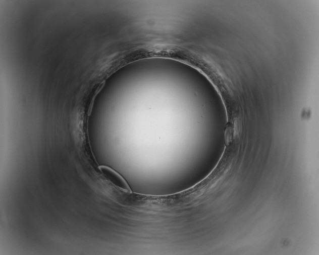 X0000102791396200808181248