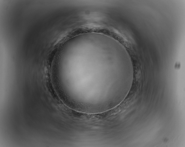 X0000102791397200808181248