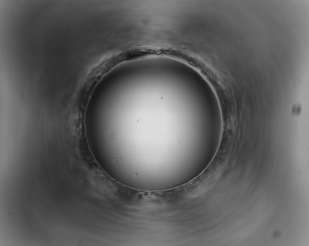 X0000102791398200808181248