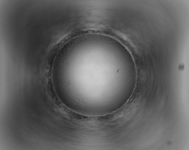 X0000102791399200808181248