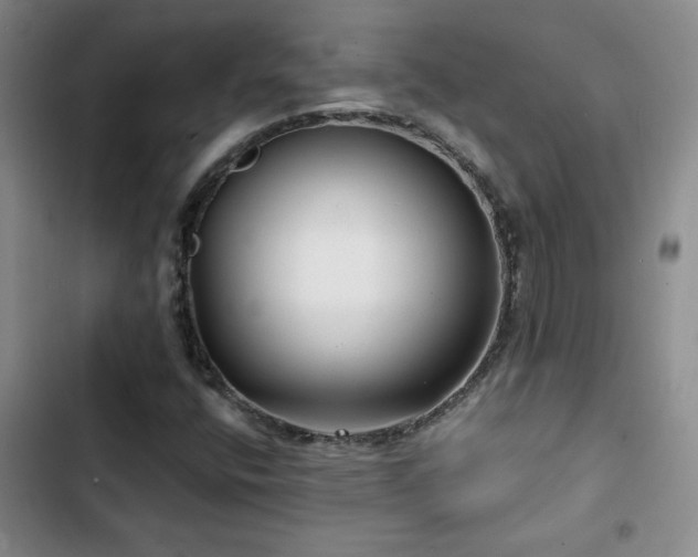 X0000102791400200808181248