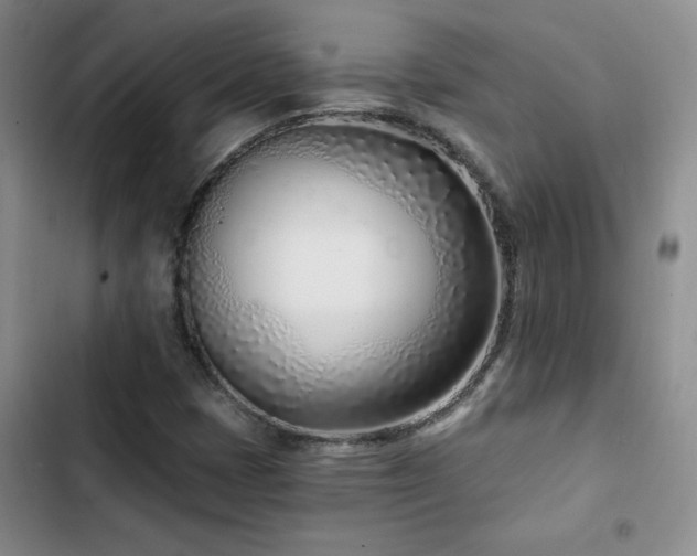 X0000102791401200808181248