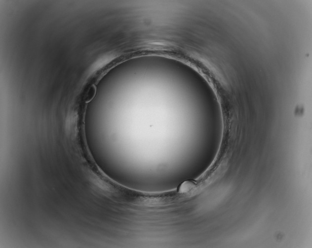 X0000102791402200808181248