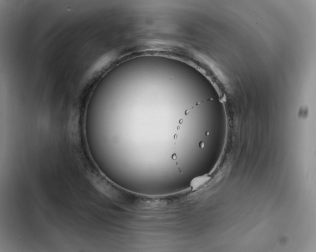 X0000102791403200808181248