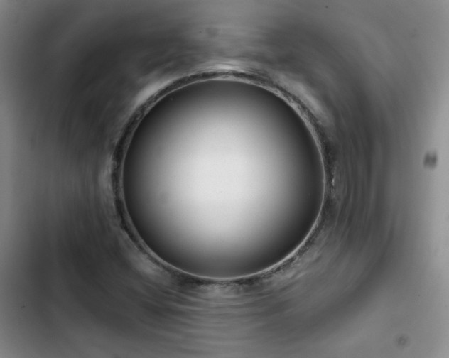 X0000102791404200808181248