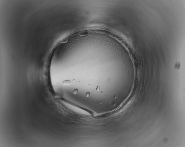 X0000102791405200808181248