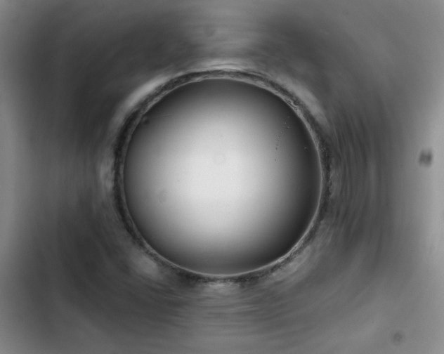 X0000102791406200808181248