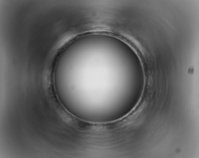 X0000102791407200808181248