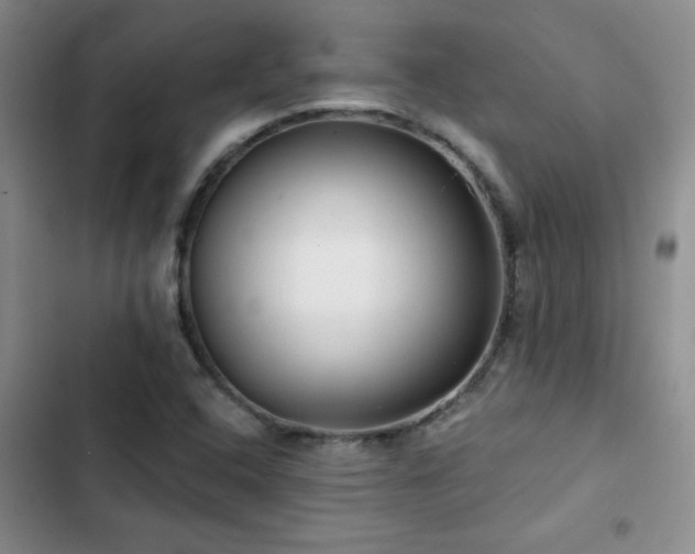 X0000102791408200808181248