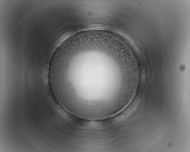 X0000102791409200808181248