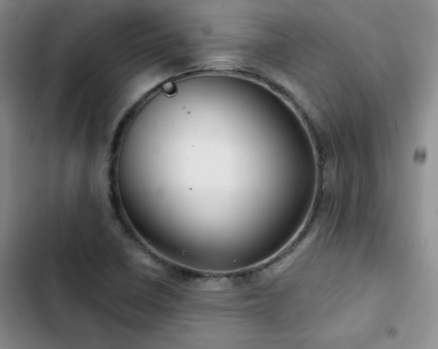 X0000102791410200808181248
