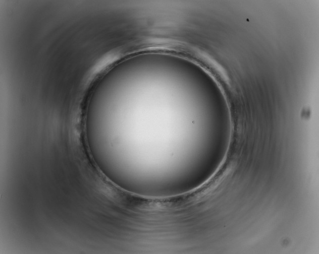 X0000102791411200808181248