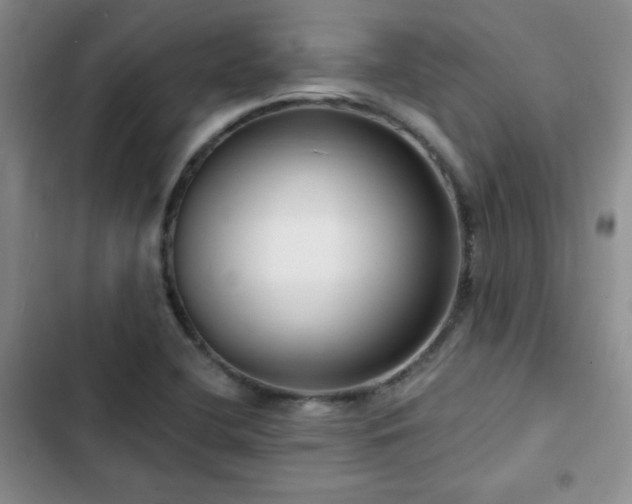 X0000102791412200808181248