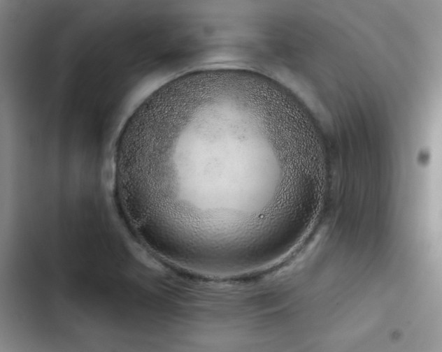 X0000102791413200808181248