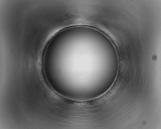 X0000102791415200808181248