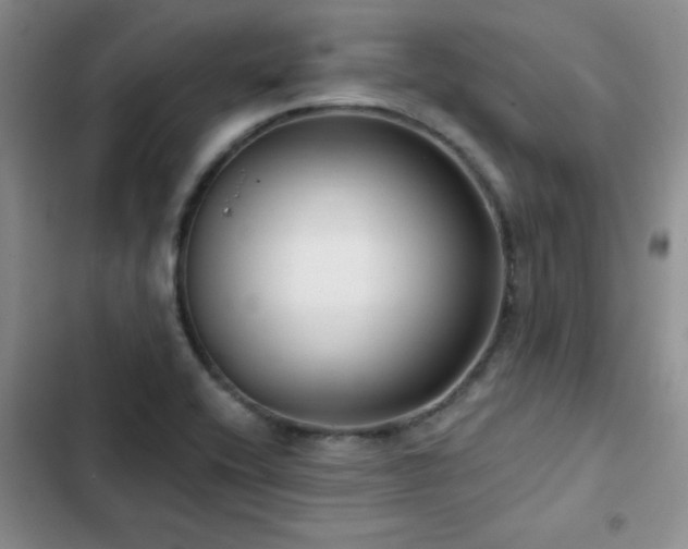 X0000102791416200808181248