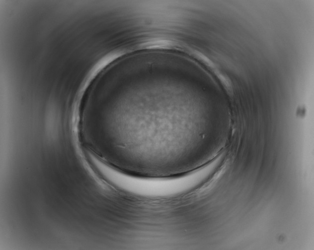 X0000102791418200808181248
