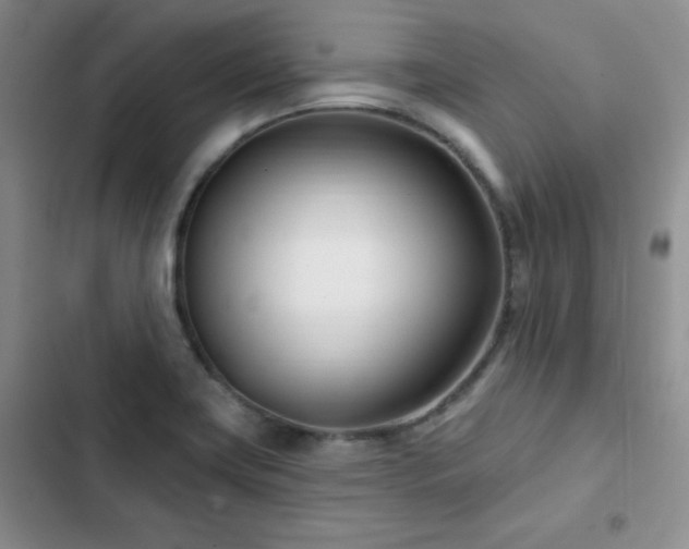 X0000102791419200808181249