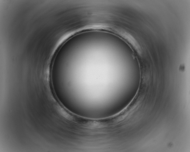 X0000102791420200808181249